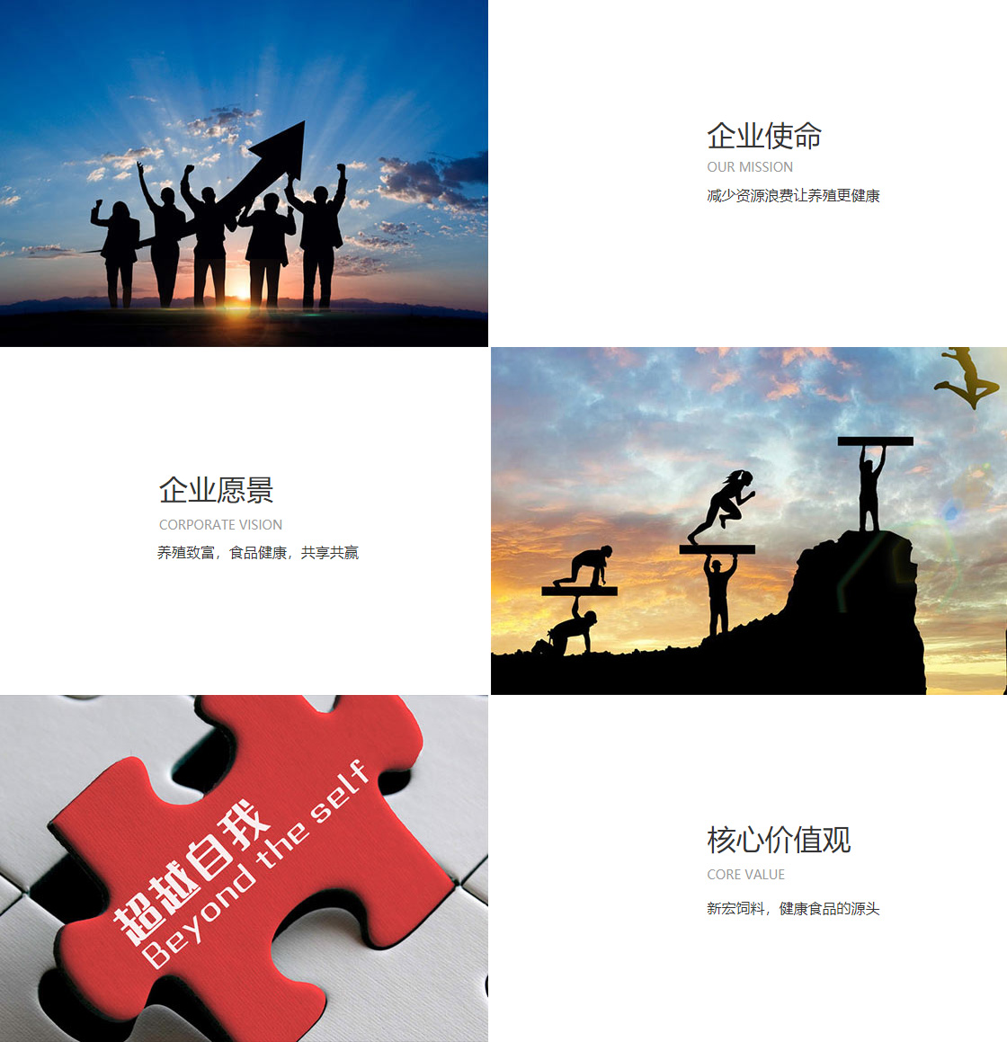 神彩vll(图1)